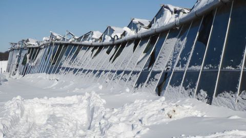 La neige, très compacte, a pesé lourdement sur ce complexe de serres de la région de Münster, en Allemagne. ©GV 